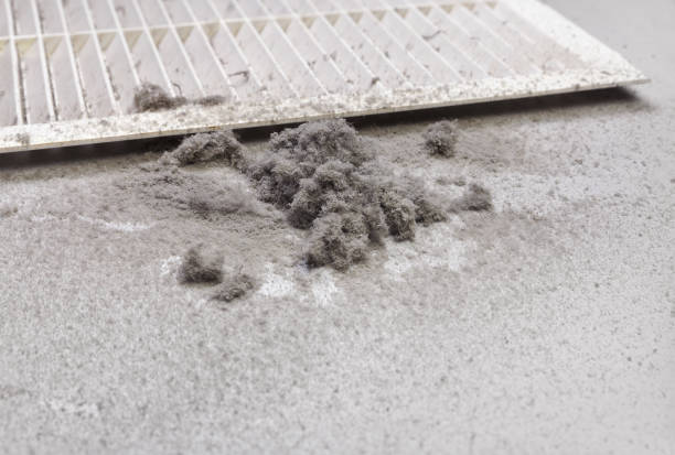 Best Commercial HVAC Duct Cleaning  in Trenton, TN