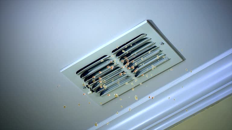Best Affordable HVAC Duct Cleaning  in Trenton, TN