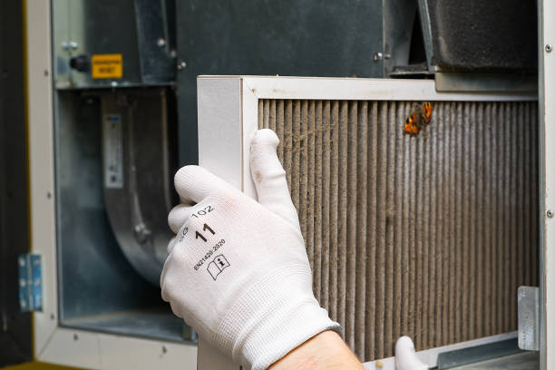 Best Home Air Vent Cleaning  in Trenton, TN