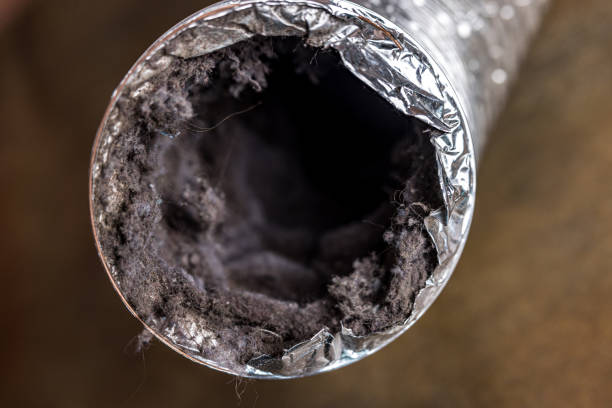 Best Dryer Vent Cleaning Services  in Trenton, TN